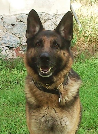 Äddie